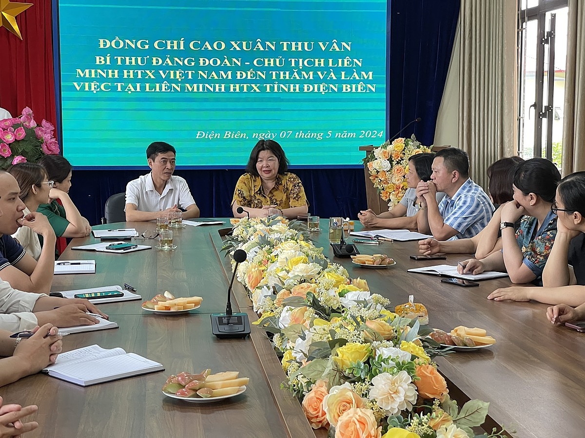 Chủ tịch Liên minh HTX VIệt Nam Cao Xuân Thu Vân đánh giá cao vai trò của Liên minh HTX tỉnh Điện Biên trong việc đại diện, bảo vệ quyền lợi ích hợp pháp cho thành viên cũng như tham mưu, phối hợp và tổ chức thực hiện nhiệm vụ phát triển KTTT, HTX.