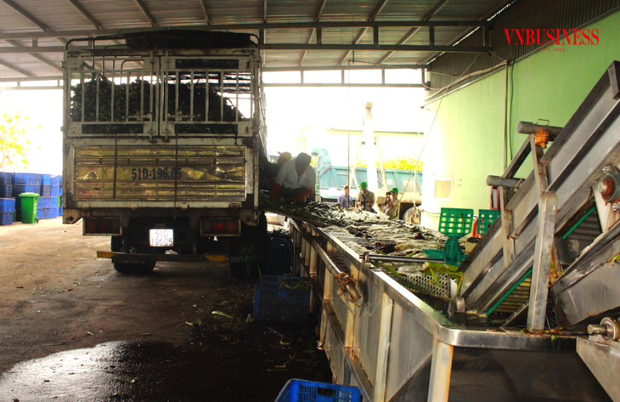 Khâu chính sách cần tránh những quy định bất cập, không hợp lý để không ảnh hưởng tiêu cực, làm cho nguyên liệu chế biến của các DN bị tắt nghẽn.