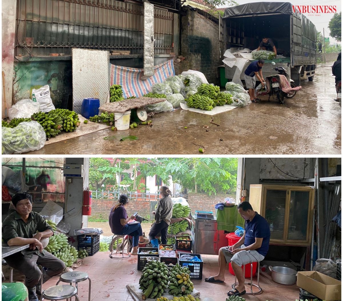 HTX vừa sản xuất trên diện tích 1 ha, vừa bao tiêu đầu ra cho nhiều hộ trồng chuối trên địa bàn xã Khai Thái.