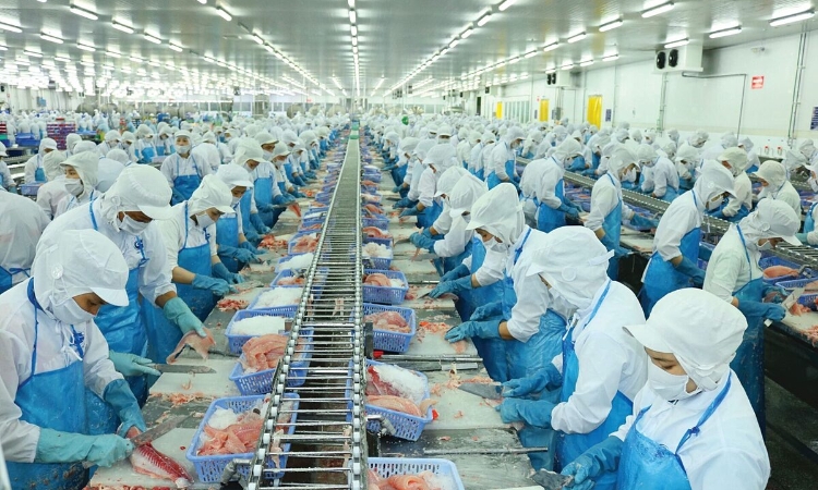 Vĩnh Hoàn đã nộp báo cáo tài chính quý I/2024 sau khi HoSE ‘tuýt còi’