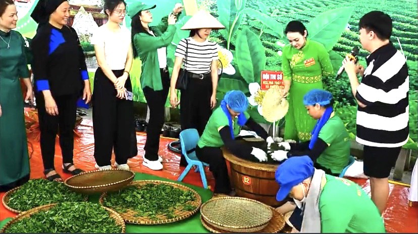 Cuộc thi giúp các HTX giao lưu, nâng cao tay nghề.