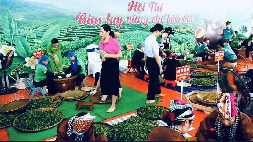 Nhiều HTX, tổ hợp tác sản xuất chè đã tham gia hội thi.