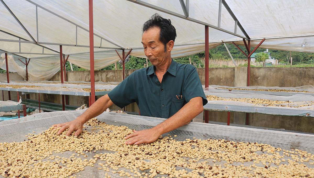 Những HTX nào xác định phát triển theo hướng bền vững sẽ có nhiều cơ hội trước những quy định mới trong sản xuất và xuất khẩ