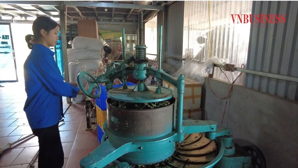 HTX Quang Tom đầu tư các loại máy móc để phục vụ quá trình chế biến, sản xuất chè thành phẩm: máy sao, máy sấy, máy vò,….