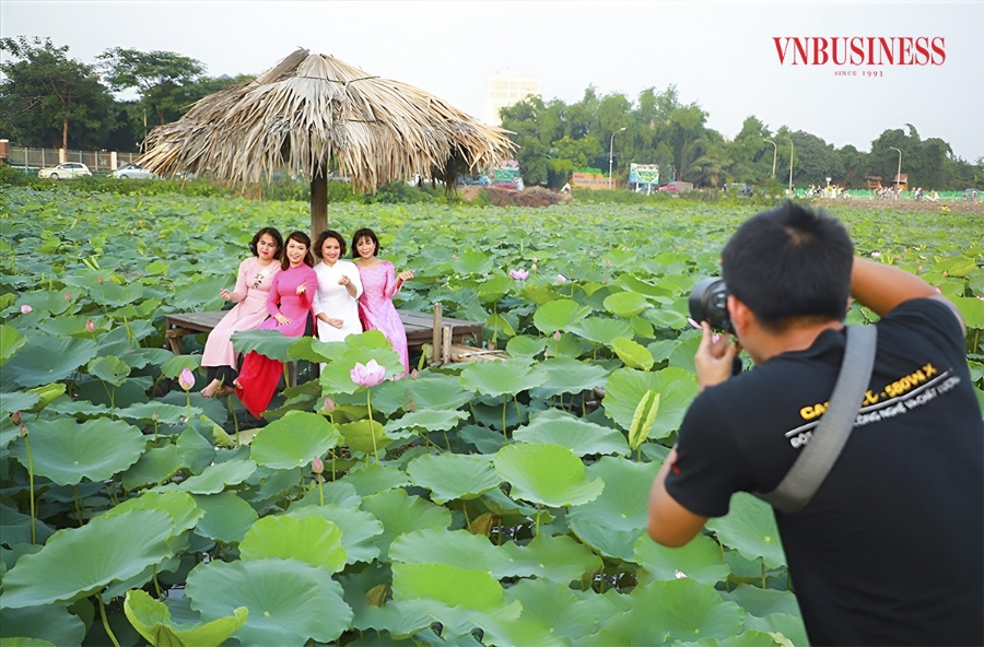 Nhiều hộ thành viên và nông hộ đã biết cách khai thác thêm loại hình dịch vụ như cho thuê trang phục và địa điểm chụp ảnh, tổ chức lớp học cắm hoa,... để tăng thêm thu nhập cho gia đình. Phạm Hòa