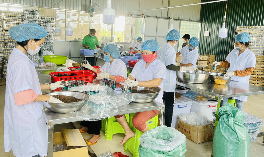 Người quản lý HTX, lao động HTX cần được đóng BHXH.