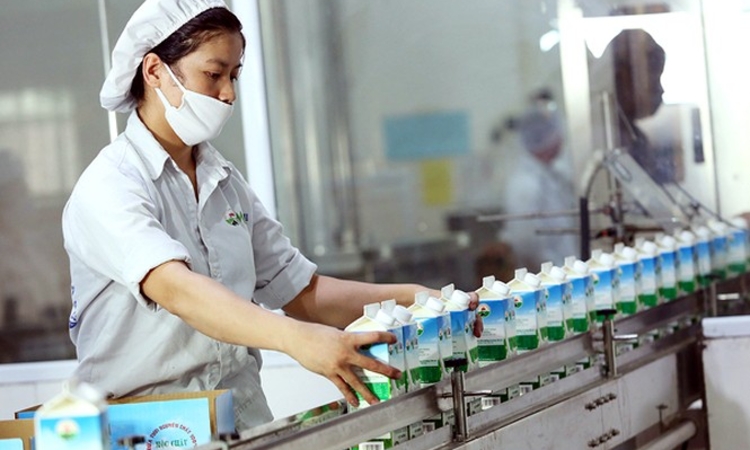 ‘Sức khỏe’ Mộc Châu Milk ra sao trước thềm cổ phiếu ‘chuyển nhà mới’?