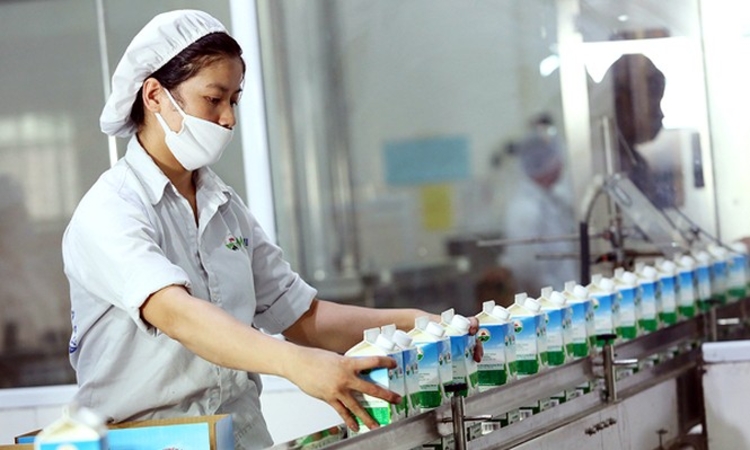 ‘Sức khỏe’ Mộc Châu Milk ra sao trước thềm cổ phiếu ‘chuyển nhà mới’?