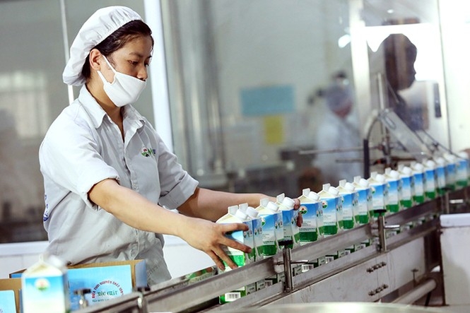 ‘Sức khỏe’ Mộc Châu Milk ra sao trước thềm cổ phiếu ‘chuyển nhà mới’?