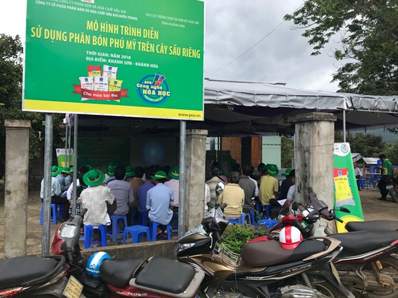 PVFCCo thực hiện các mô hình trình diễn, hướng dẫn bà con nông dân cách chăm sóc sầu riêng hiệu quả.