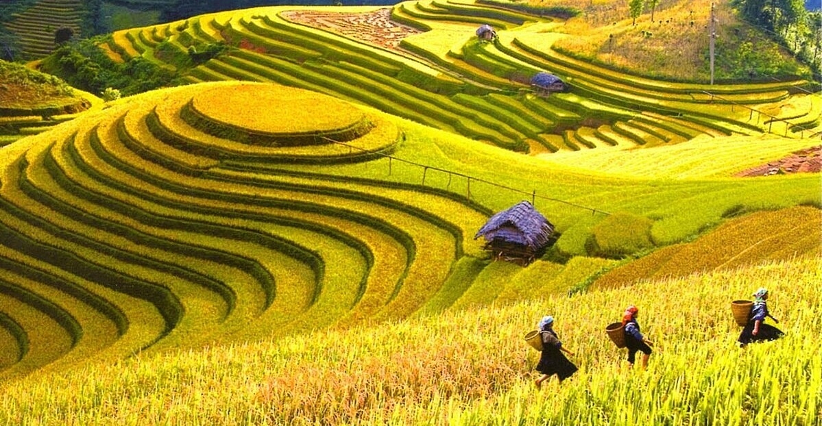 HTX cần những mảnh ghép từ các nguồn lực để không bị khó khăn trong phát triển du lịch nông nghiệp.