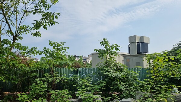 Khu đất để xây nhà ở XH &lpar;cao tầng&rpar; vẫn để cây cỏ mọc cao hơn đầu người chờ chỉ đạo của cơ quan chức năng