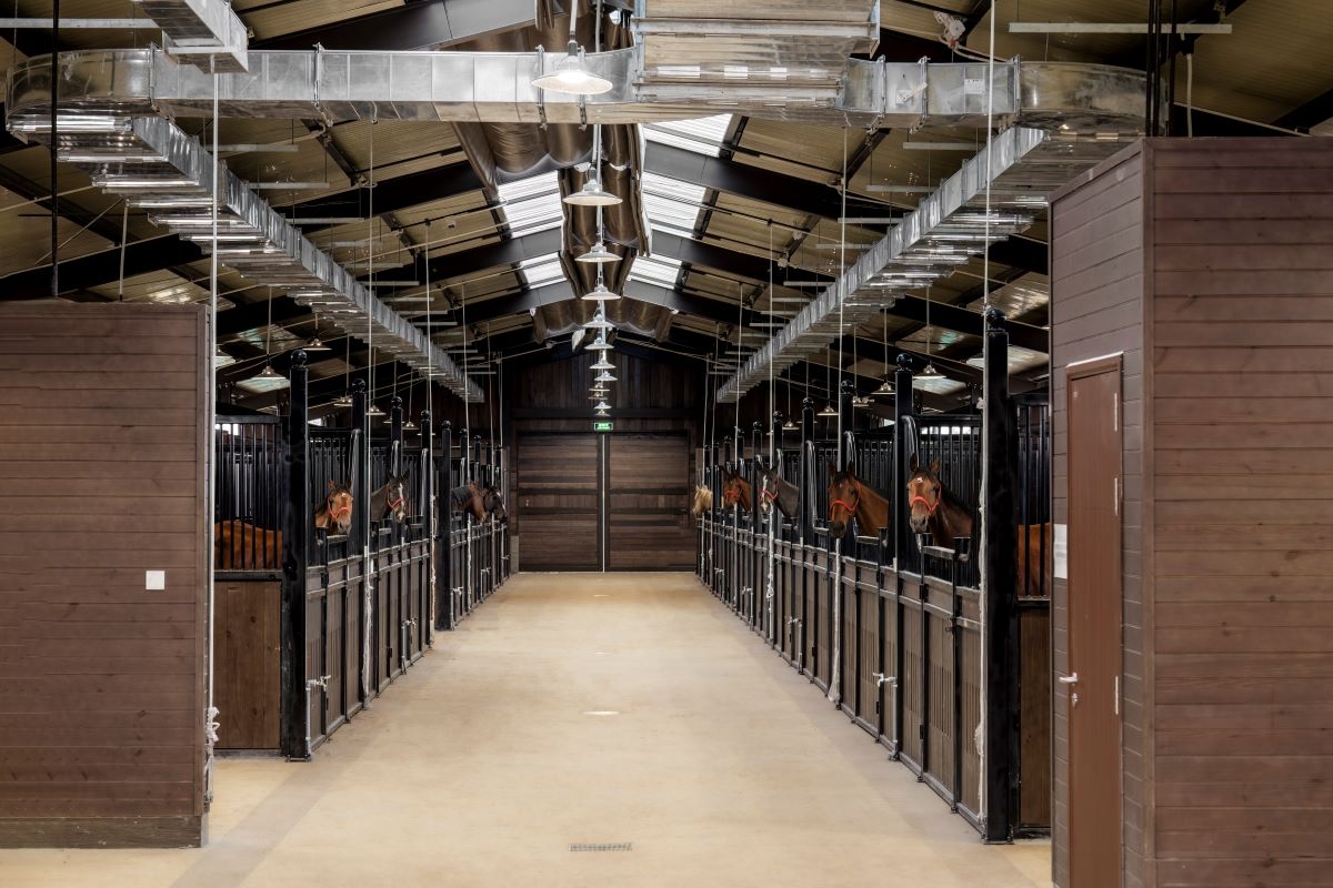 Bộ sưu tập các giống ngựa quý hiếm bậc nhất thế giới sẽ ra mắt công chúng đầy đủ trong dịp này.