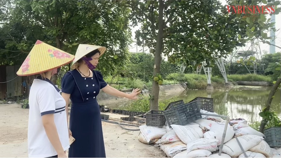 HTX Tiên Dương đảm nhận vai trò hỗ trợ chuyển giao công nghệ, kiến thức về sản xuất hữu cơ cho các thành viên HTX.