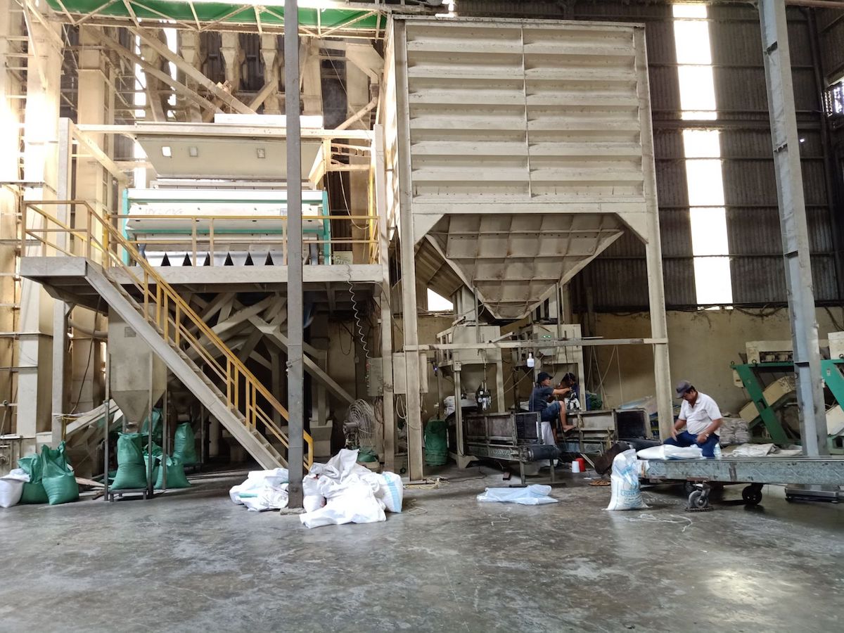 90% máy xay xát lúa, đánh bóng gạo do doanh nghiệp Việt chế tạo xuất đi nhiều nước trên thế giới &lpar;Ảnh: minh họa&rpar;