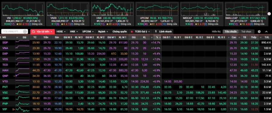 Cổ phiếu vận tải biển tiếp tục nổi sóng sau khi giá cước lập đỉnh mới.