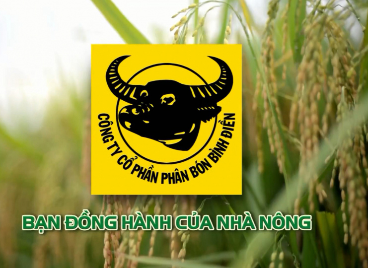 Công ty phân bón Bình Điền bị xử phạt nặng vì khai sai thuế