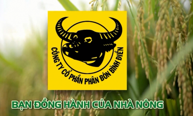 Công ty phân bón Bình Điền bị xử phạt nặng vì khai sai thuế