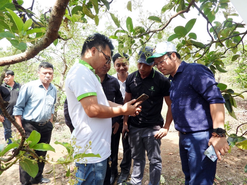 Việc tiếp cận và áp dụng bảo hiểm nông nghiệp của các HTX còn chưa thuận lợi.