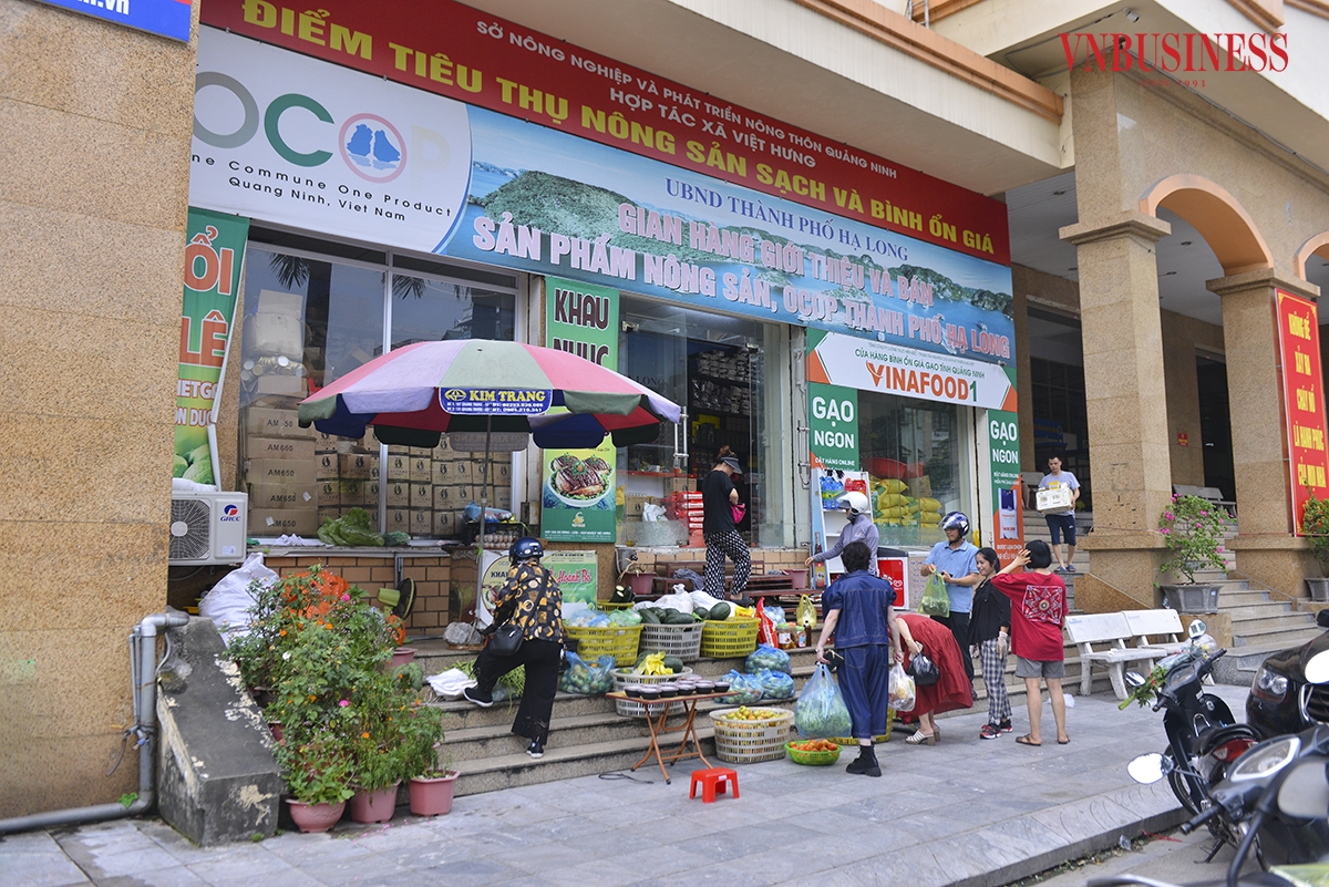 HTX mang nông sản sạch, an toàn đến gần hơn với người tiêu dùng qua điểm bán hàng tại chợ Hạ Long 1.