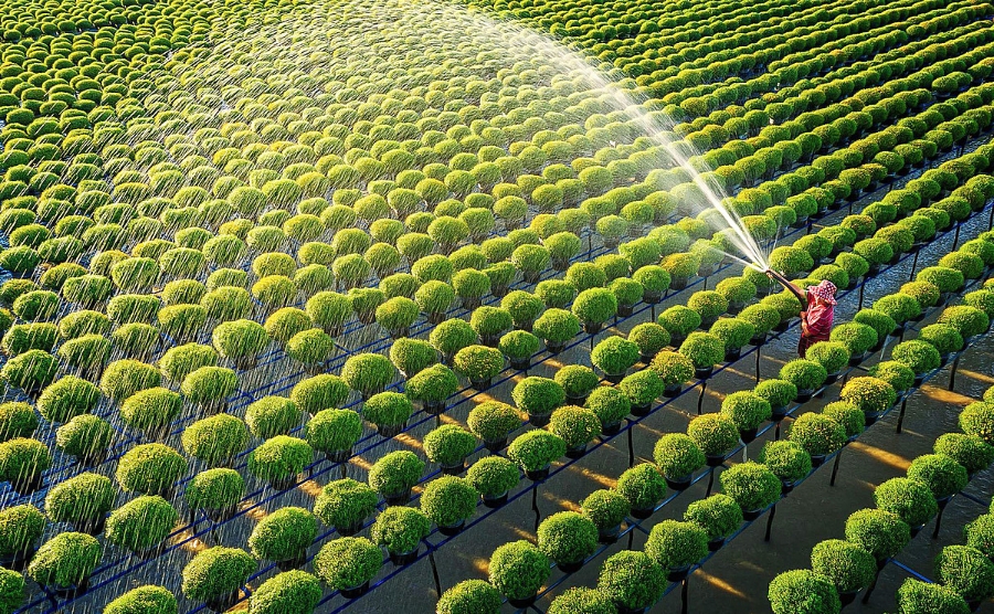 Báo chí góp phần thúc đẩy kinh tế tập thể, HTX phát triển bền vững.