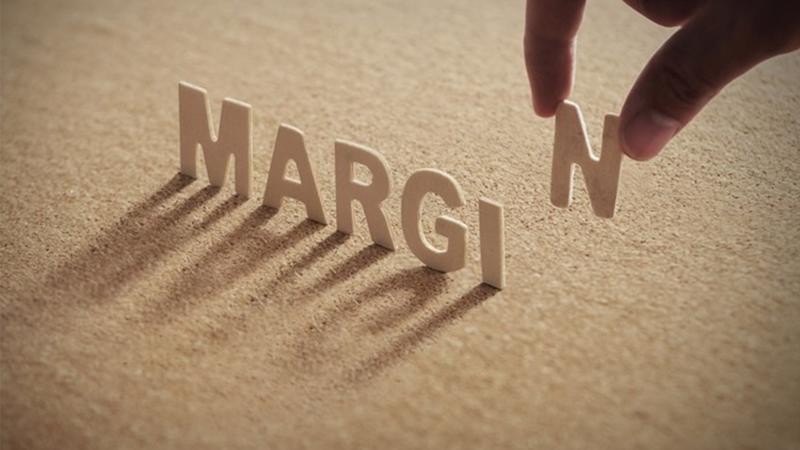 Tính đến hết ngày 18/6, có 85 mã chứng khoán bị HoSE cắt margin.