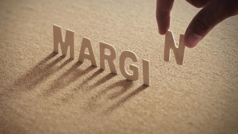 Tính đến hết ngày 18/6, có 85 mã chứng khoán bị HoSE cắt margin.