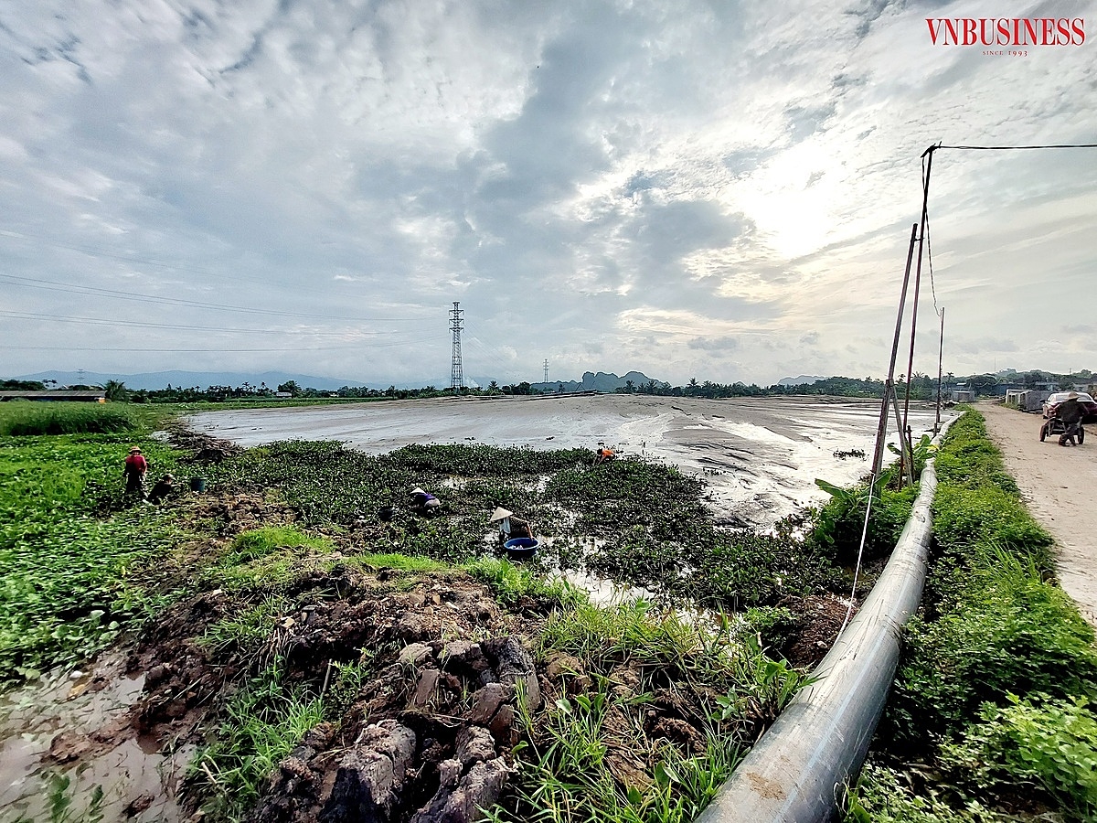 Hữu cơ và bùn vẫn còn nguyên sau san lấp.
