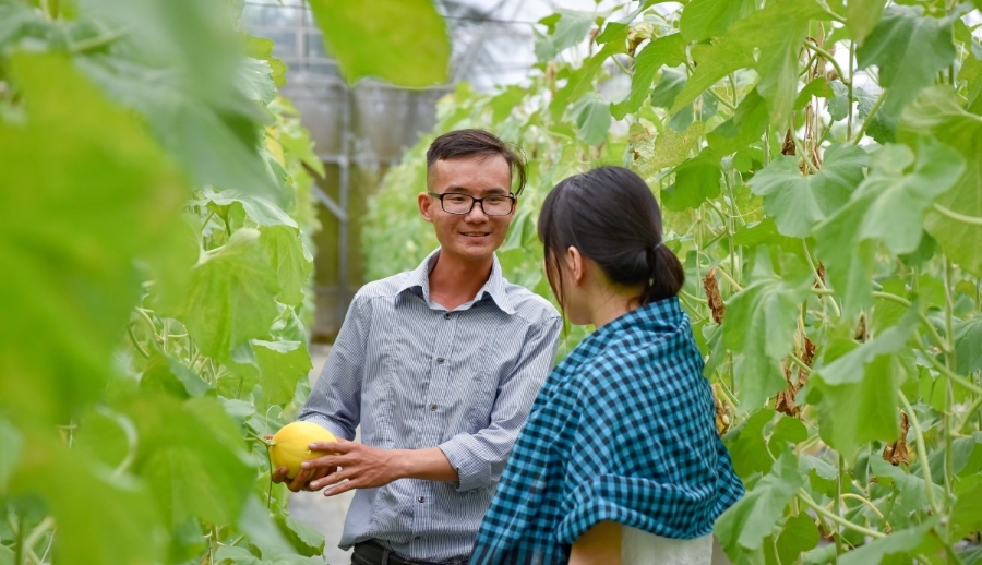 Cần có kế hoạch cho nguồn nhân lực chất lượng cao để thúc đẩy mô hình du lịch nông nghiệp.