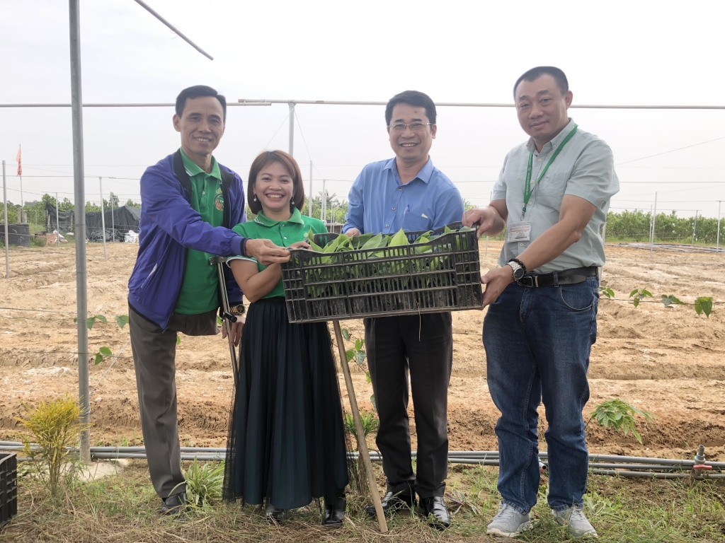 HTX Tâm Ngọc là mô hình hỗ trợ người khuyết tật phát triển kinh tế, hòa nhập cộng đồng tiêu biểu tại Hà Nội.