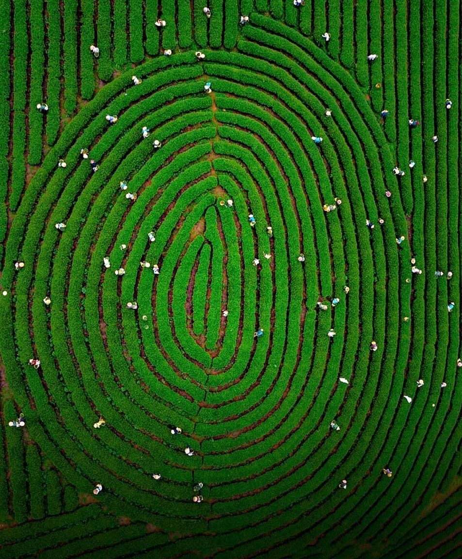 Muốn ổn định nguồn cung cần có các chính sách giúp nông dân, HTX gắn bó lâu dài với nông nghiệp.