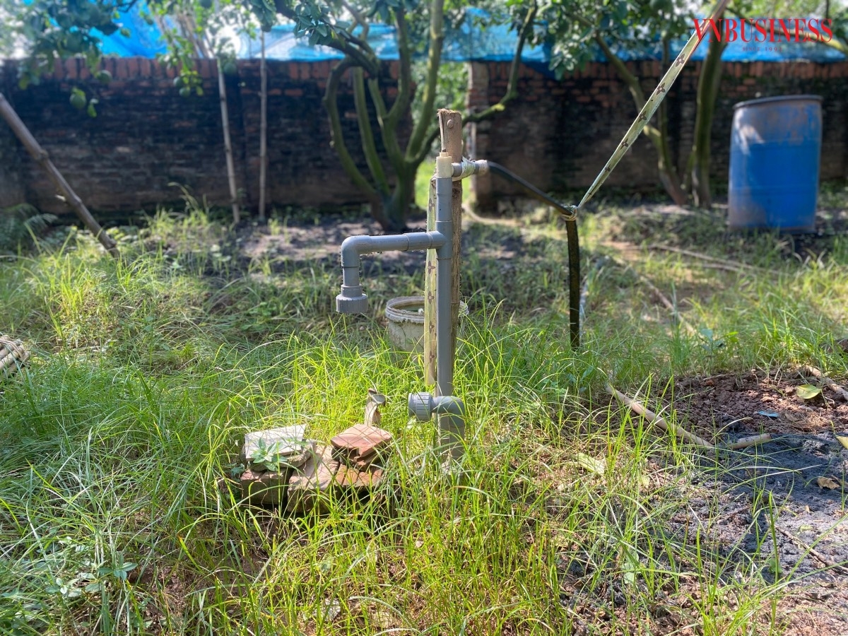 Ngoài sử dụng mái lưới che, HTX lắp đặt hệ thống cấp nước tới từng gốc cây.