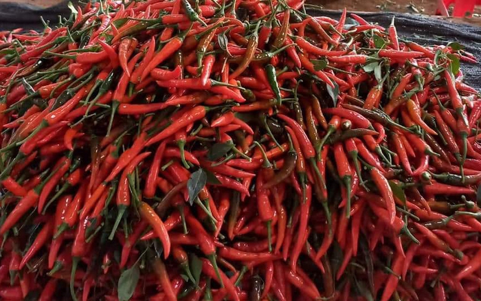 Hiệp hội Hồ tiêu và cây gia vị Việt Nam thông báo các doanh nghiệp cần lưu ý kiểm tra chất lượng sản phẩm trước khi xuất khẩu.