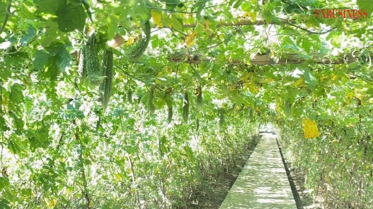 Sản xuất theo các tiêu chuẩn hữu cơ thường yêu cầu ít lao động hơn, từ đó cũng giảm chi phí đáng kể.