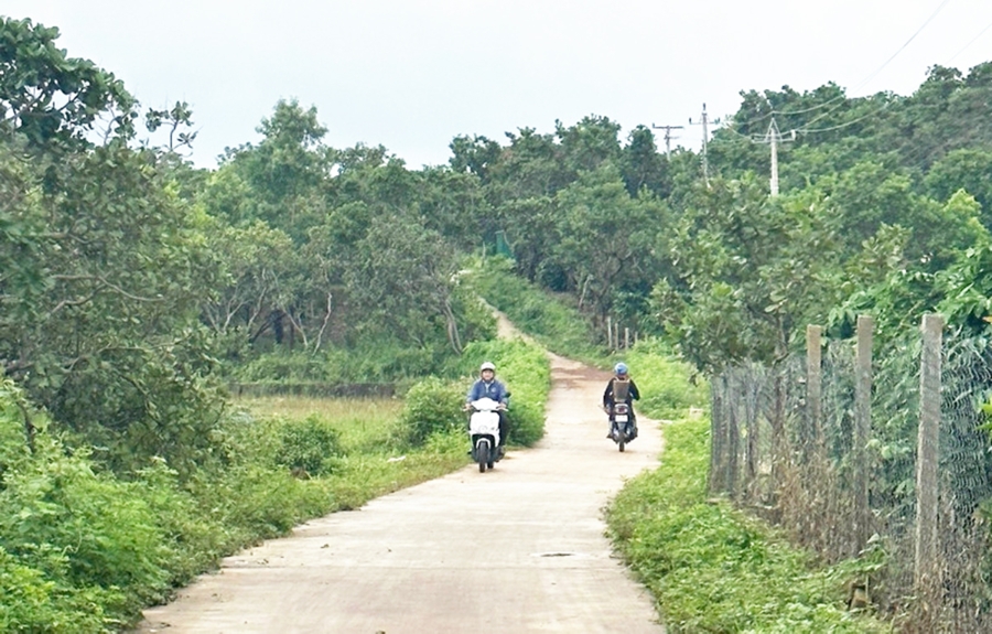 Nhà đầu tư nên cẩn trọng khi săn đất nền tại các tỉnh, tránh lao vào các tin đồn, sốt cục bộ &lpar;Ảnh: Thiên Di&rpar;.