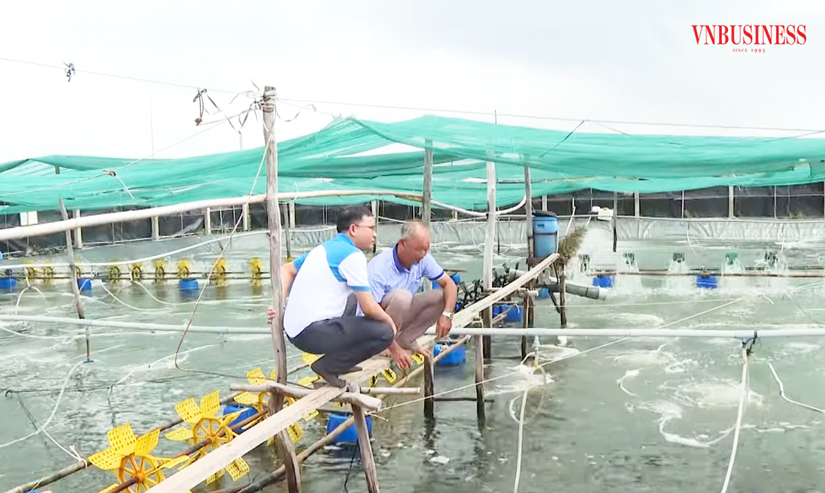 Các câu lạc bộ tỷ phú nông dân ở Bến Tre đang tạo sức lan tỏa mạnh mẽ.