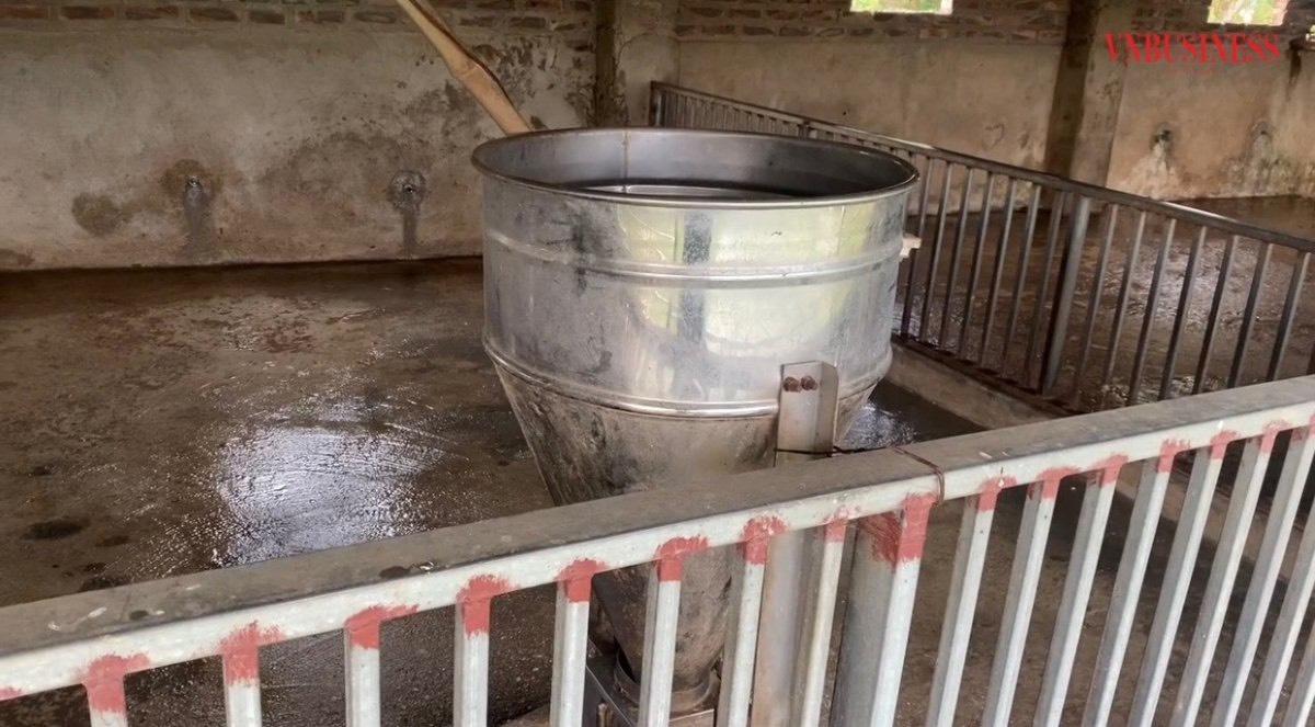 HTX trang bị đầy đủ các thiết bị hỗ trợ trong quá trình chăm sóc lợn: hệ thống làm mát, máng cho ăn tự động,….