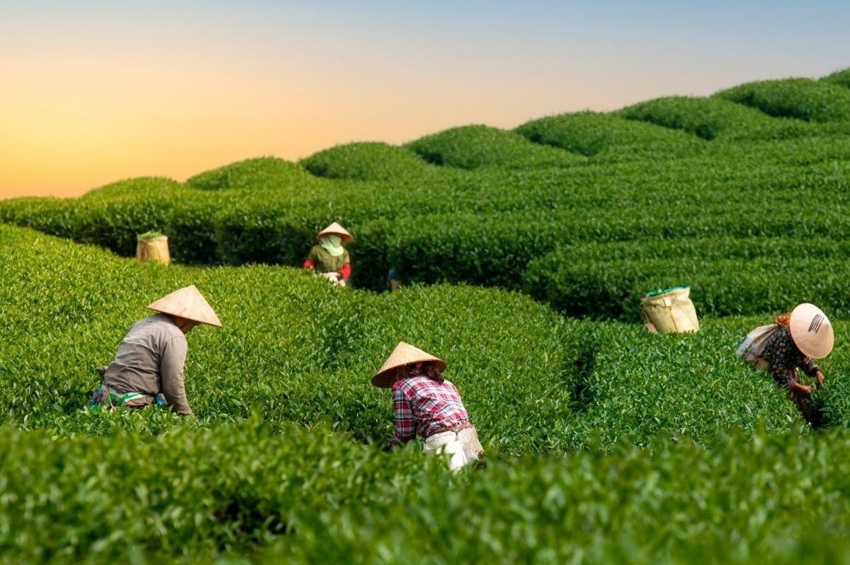 Mô hình HTX lấy con người làm trung tâm mang lại nhiều giá trị tốt đẹp cho xã hội loài người trong hiện tại và tương lai.