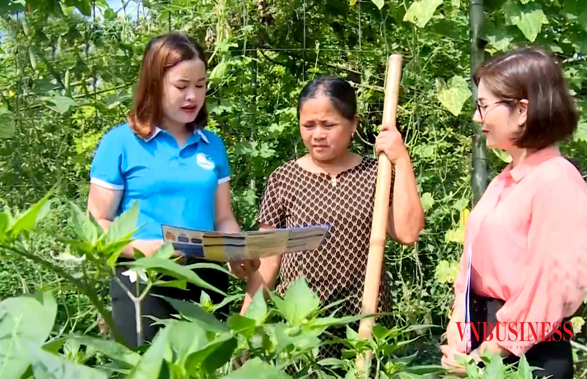 Mô hình vườn rau an sinh là cách làm độc đáo, đang cho thấy hiệu quả tích cực ở Hà Tĩnh.