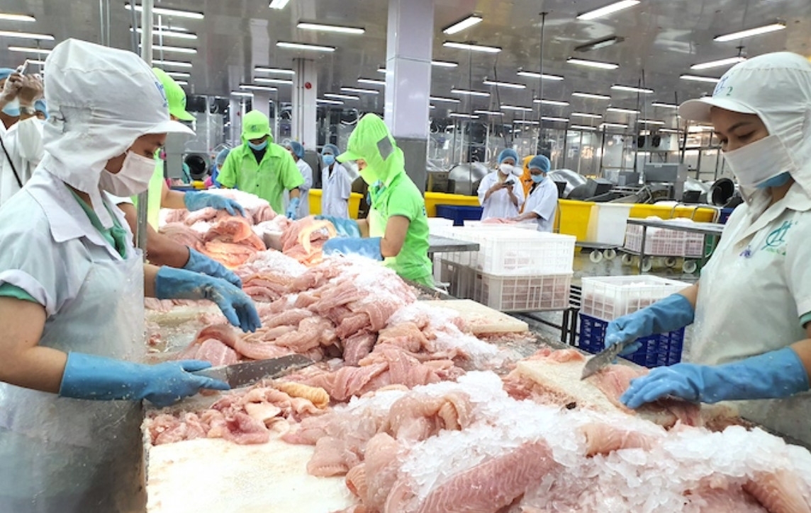 EU là một trong những thị trường tiêu thụ nhiều nhất cá tra Việt Nam.