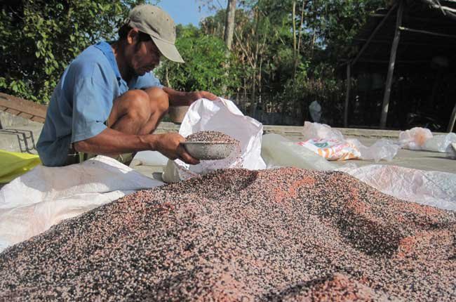 Phân bón, thuốc BVTV giả, kém chất lượng xuất hiện ngày càng nhiều khiến người nông dân khó có thể phân biệt, gây thiệt hại nặng nề về kinh tế, cây trồng mất mùa.