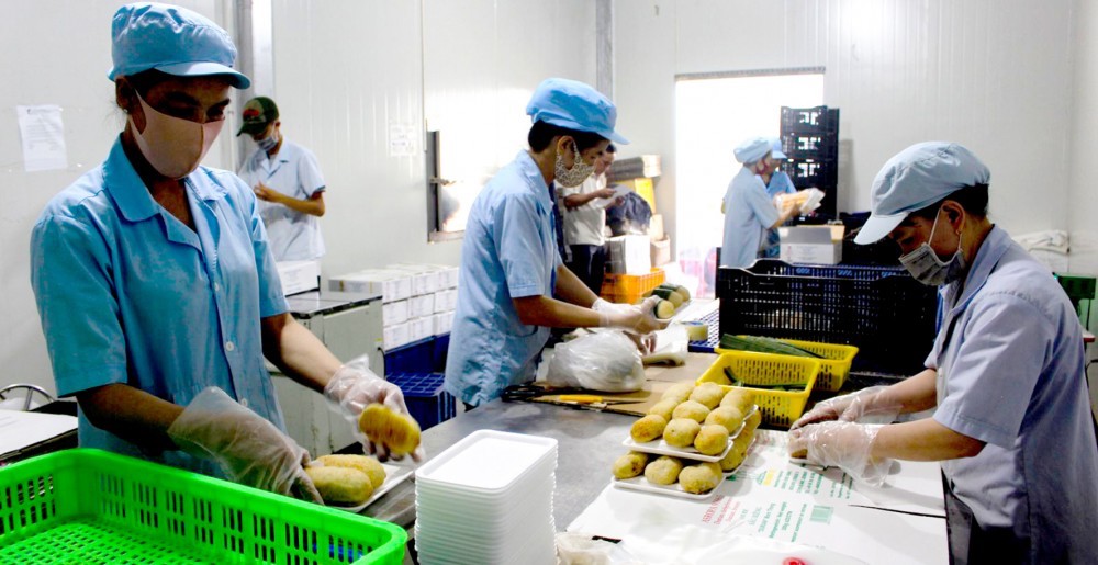 Ở Việt Nam hiện nay, theo thống kê, trong tổng số khoảng 900 nghìn doanh nghiệp hoạt động, số doanh nghiệp nhỏ và siêu nhỏ chiếm gần 94%.