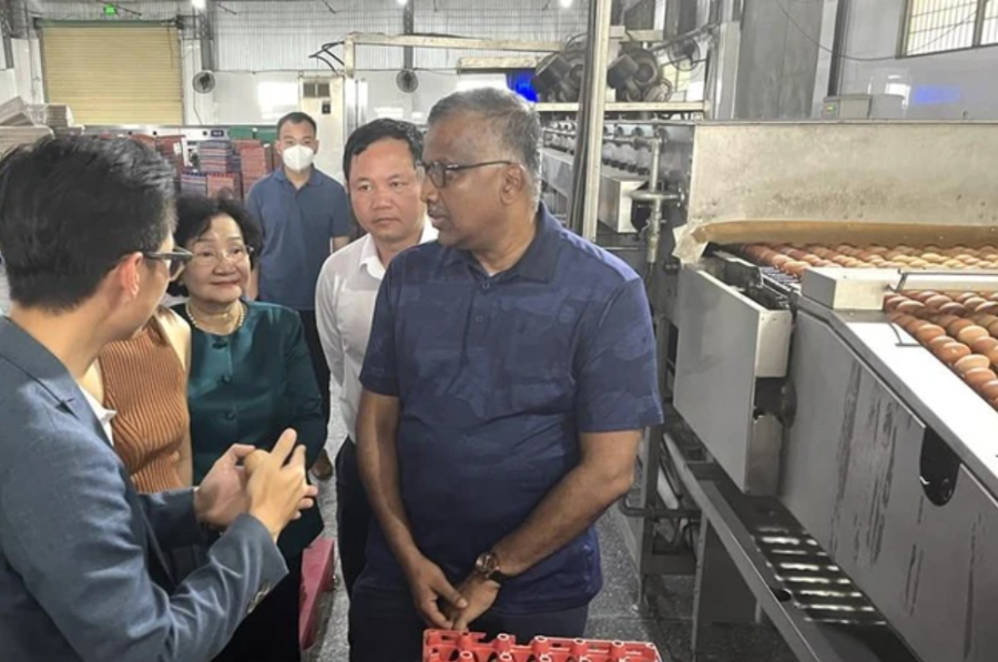 Đoàn công tác Singapore thăm trang trại chăn nuôi gia cầm công nghệ cao Ba Huân.
