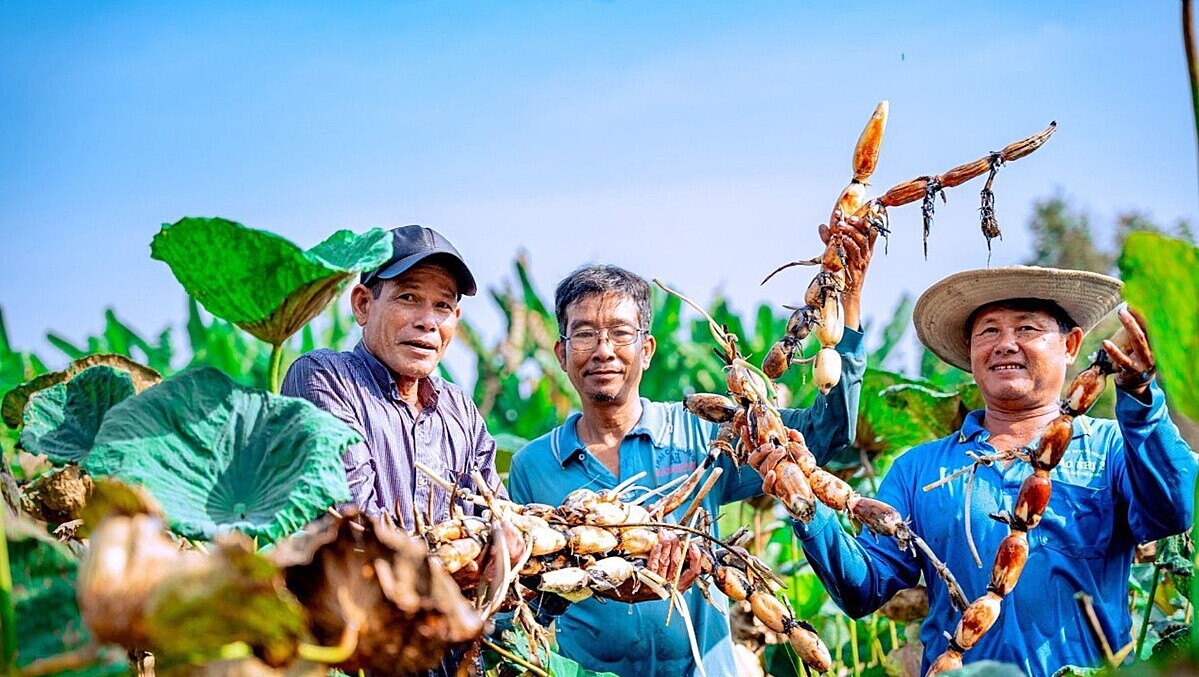 HTX có vai trò quan trọng trong phát triển nông nghiệp, nông thôn nên cần có môi trường thuận lợi để phát triển.