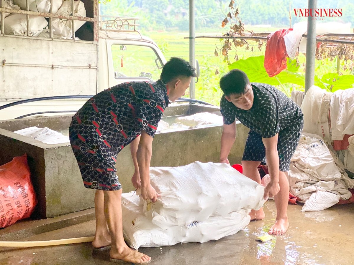 Măng được người dân thu hoạch, sơ chế đến đâu, HTX thu mua phân loại và rửa sạch đến đó.