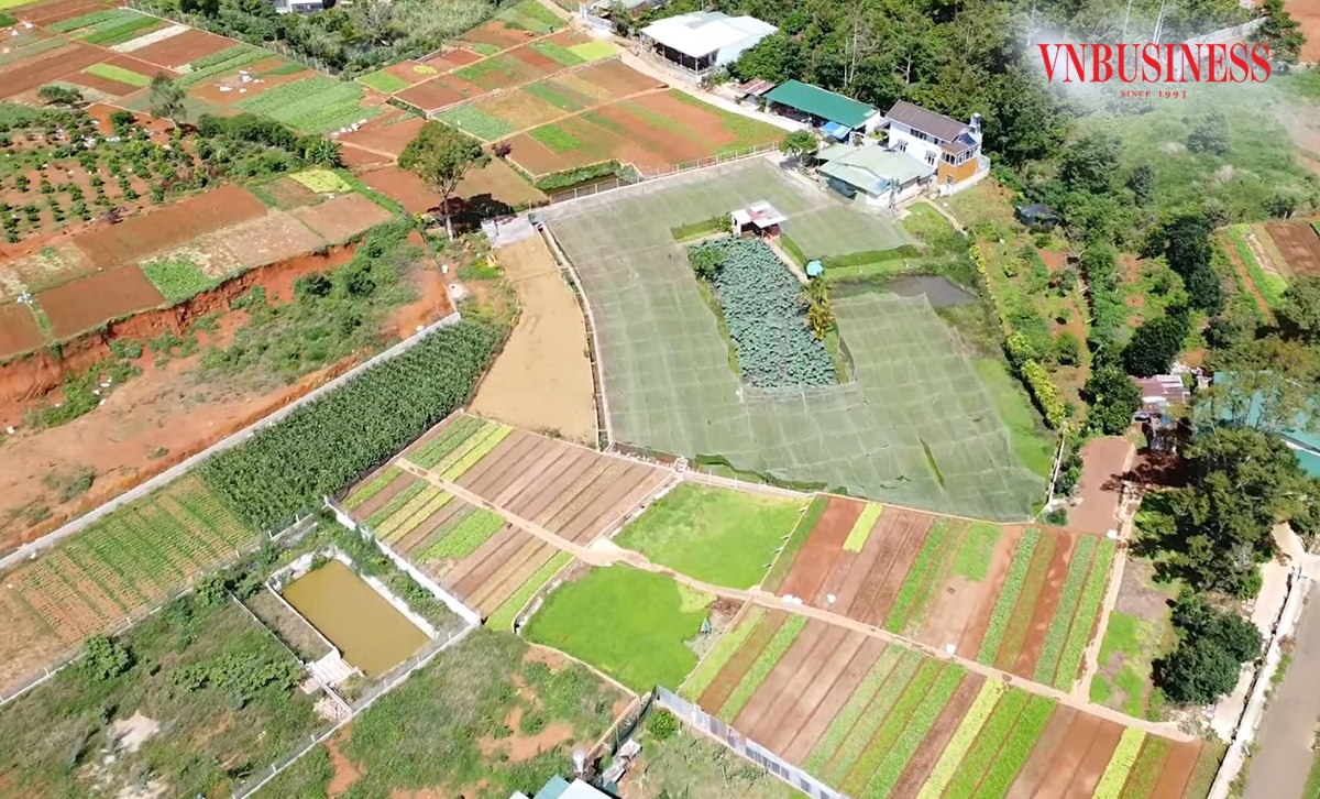 Bảo Lộc đang định hướng phát triển nông nghiệp theo hướng hàng hóa, nâng cao giá trị gia tăng.