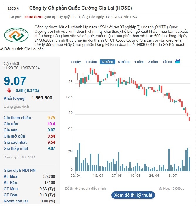 Cổ phiếu QCG giảm sàn trong phiên sáng 19/7.