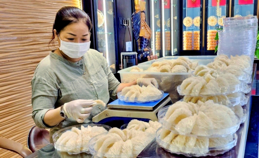 Nghề nuôi yến cho giá trị kinh tế cao nhưng rủi ro cũng không ít.