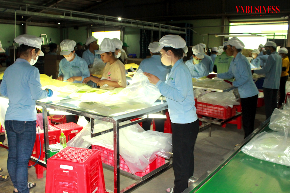 Các DN vừa và nhỏ mong muốn tháo gỡ triệt để các bất cập trong khâu chính sách nhằm giúp “sức khỏe” của họ khả quan hơn.