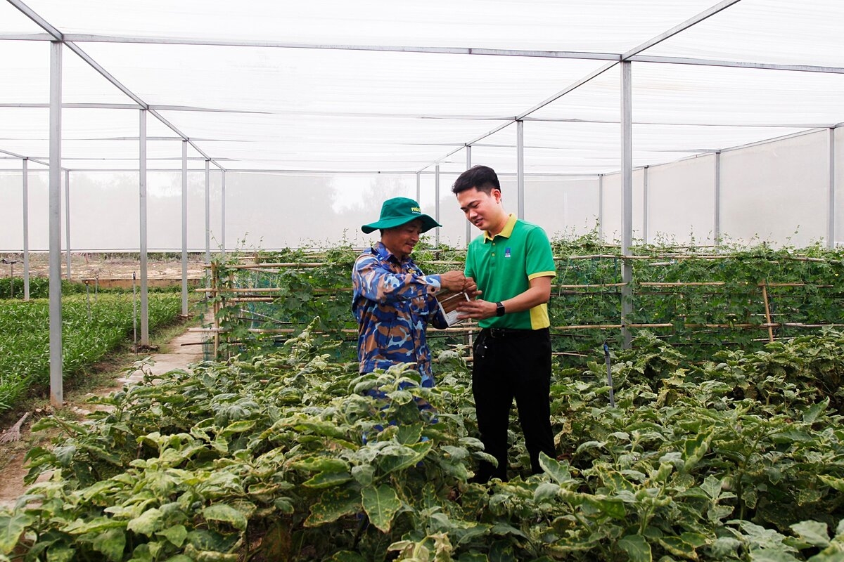 Hướng dẫn các chiến sỹ sử dụng phân bón để chăm sóc cây trồng hiệu quả.